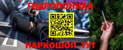 шишки Кулебаки