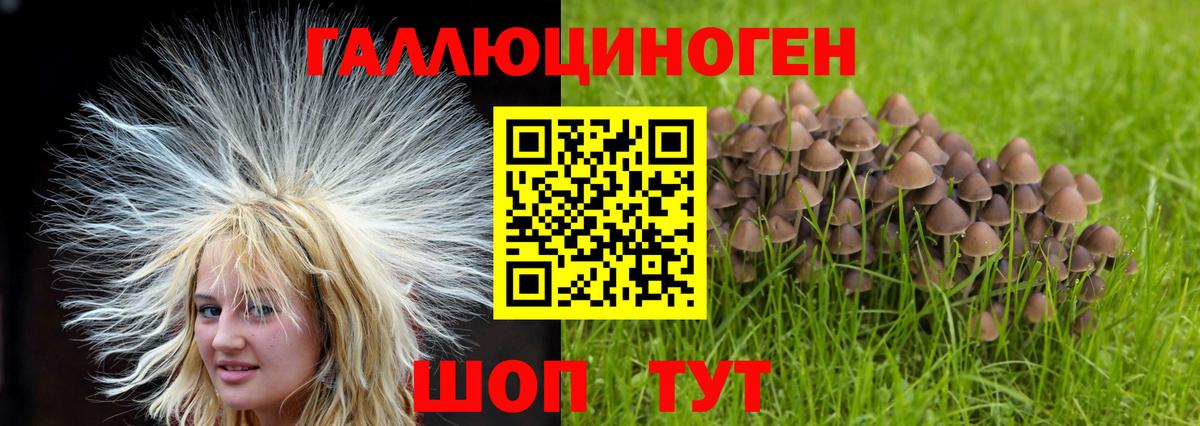 Галлюциногенные грибы MAGIC MUSHROOMS Кинель