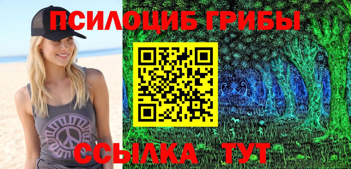 Псилоцибиновые грибы GOLDEN TEACHER  наркота  Кинель  Вход с VPN 