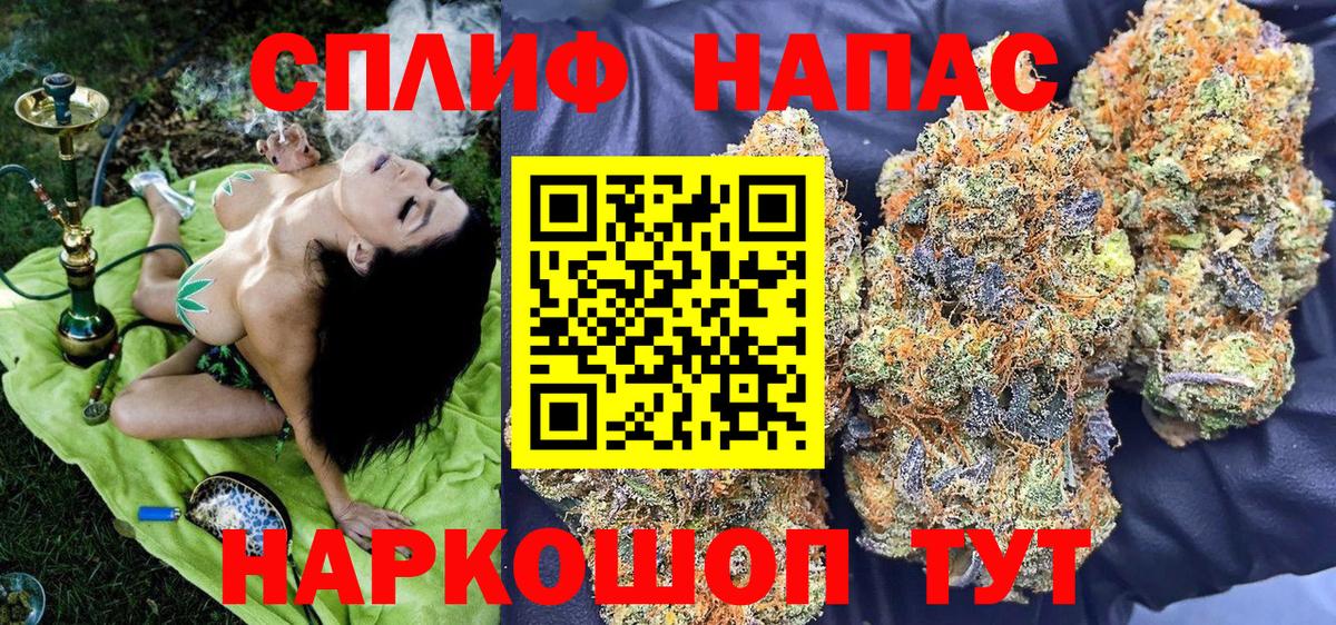Шишки марихуана семена Кинель